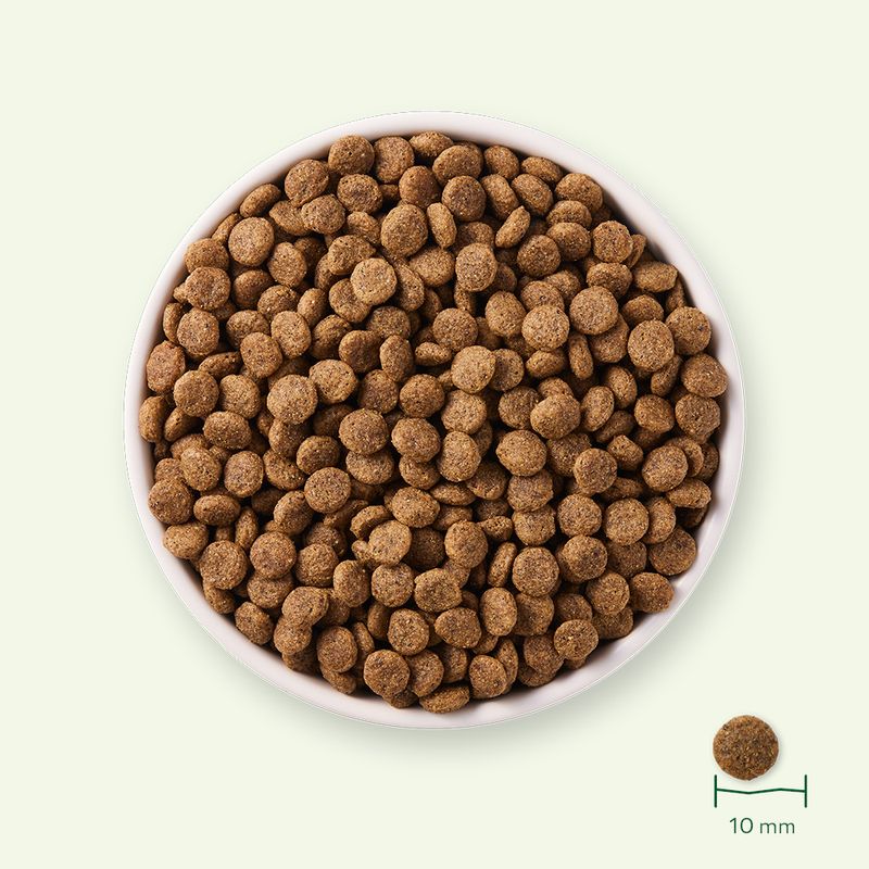 Yarrah Bio poulet bio, poisson sans céréales