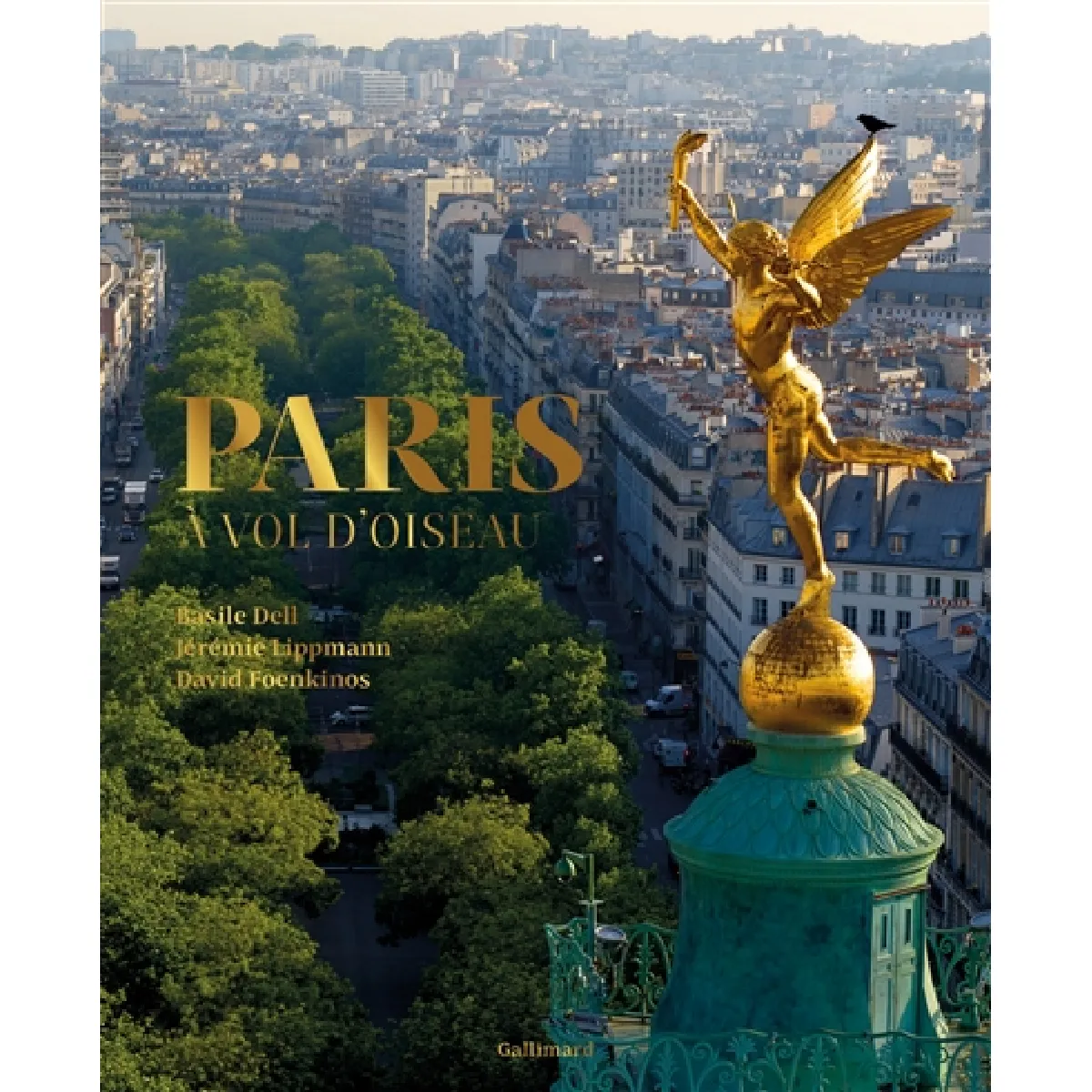Paris à vol d'oiseau · Occasion