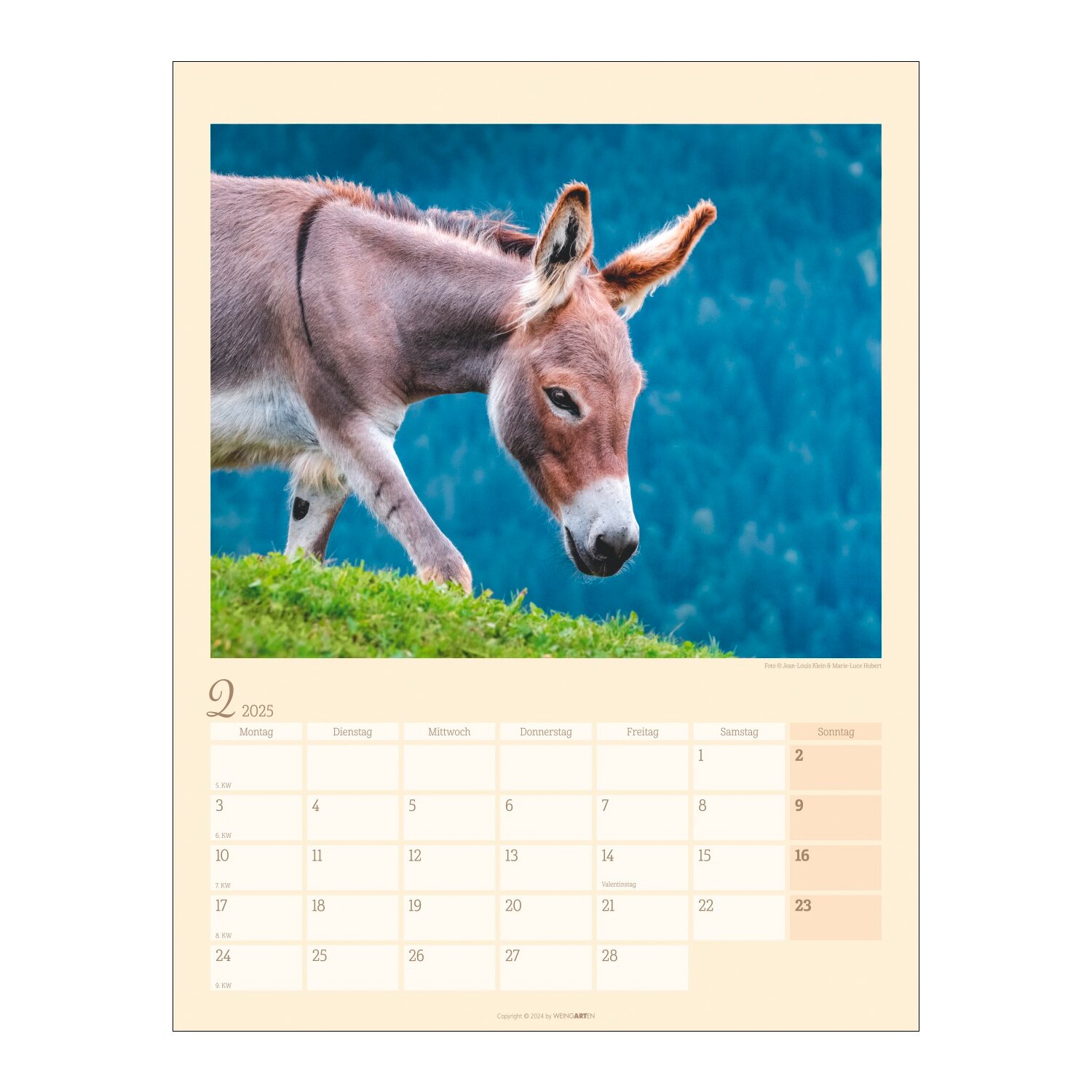 Kalender Esel 2025