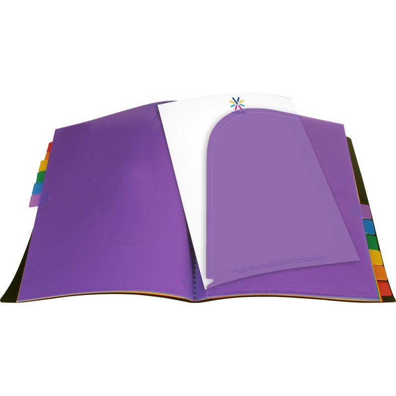 Trieur 12 compartiments à onglets Rainbow Class - Viquel-  25  x 32 x 1,2 cm