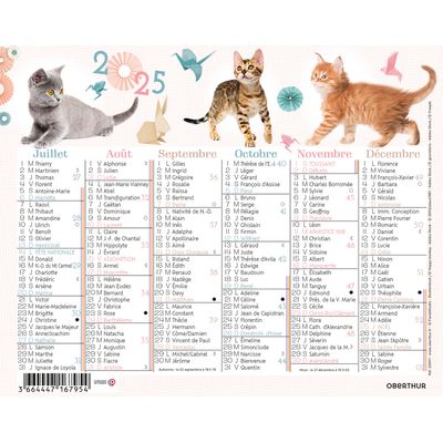 Mini calendrier illustré - 6 mois par face - 13,5 x 17,5 cm - différents modèles disponibles - Oberthur
