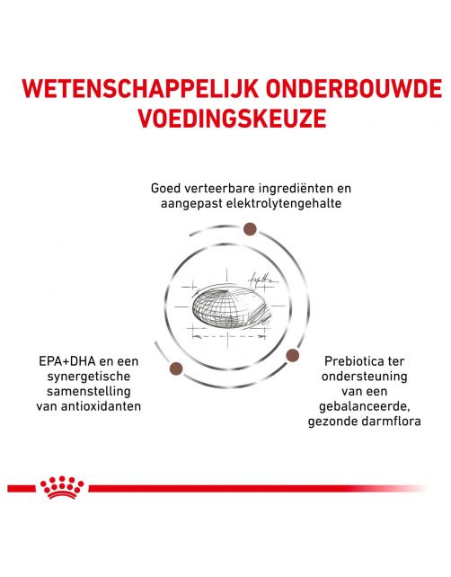 Royal Canin Veterinary Diet Gastro Intestinal - Hondenvoer - 15 kg