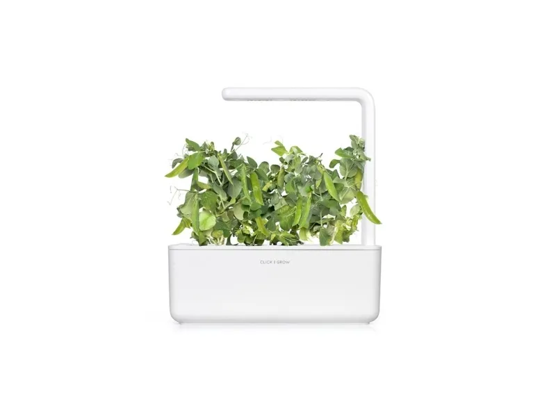 Click & Grow SGR54x3, Spiselig plante, Genopfyldning, Hurtig producent (3-5 uger), 7 - 14 dage, 2 måned(er), 18 - 24 °C