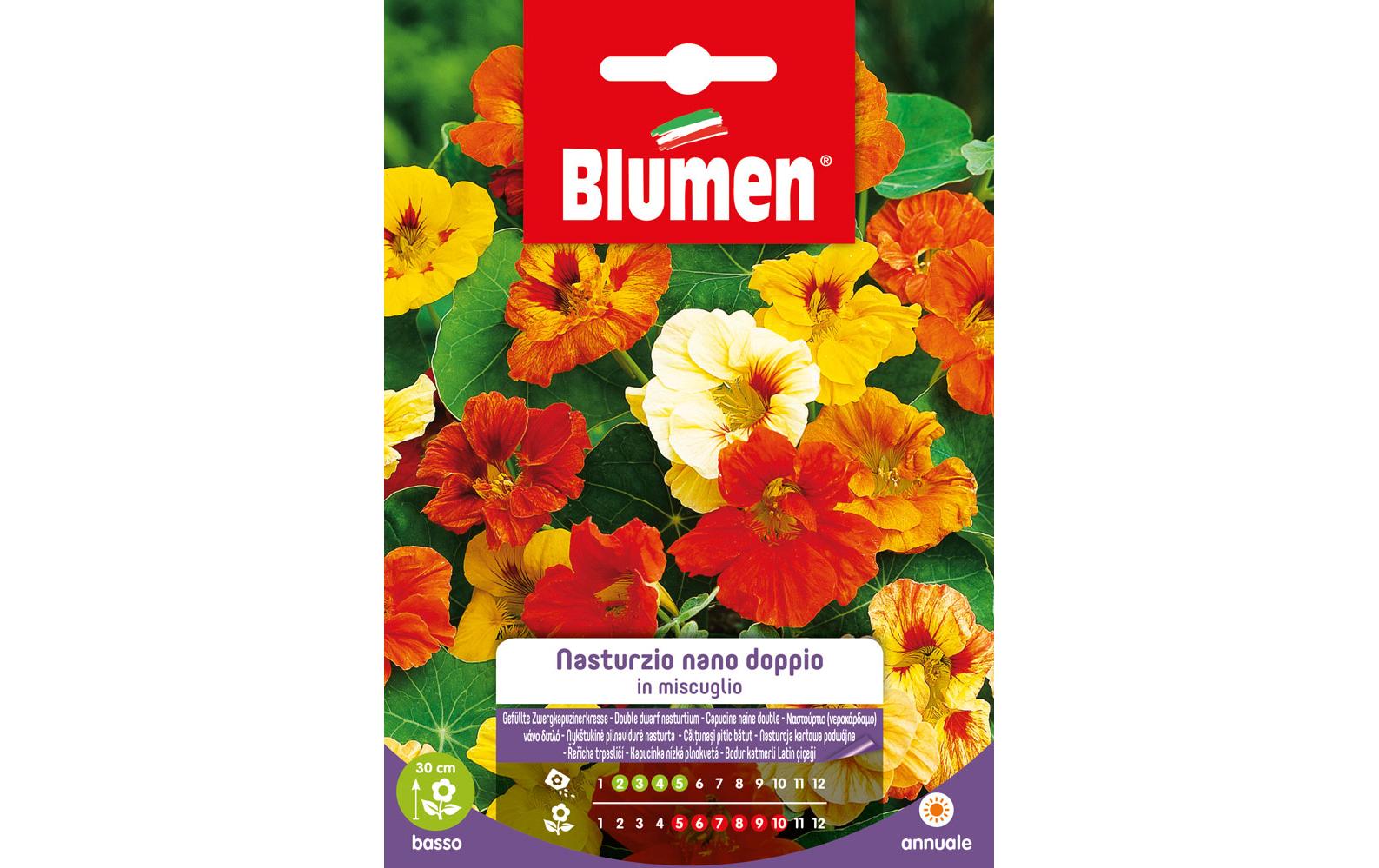 Saatgut Gefüllte Zwerkapuzinerkresse MixBlumensamen