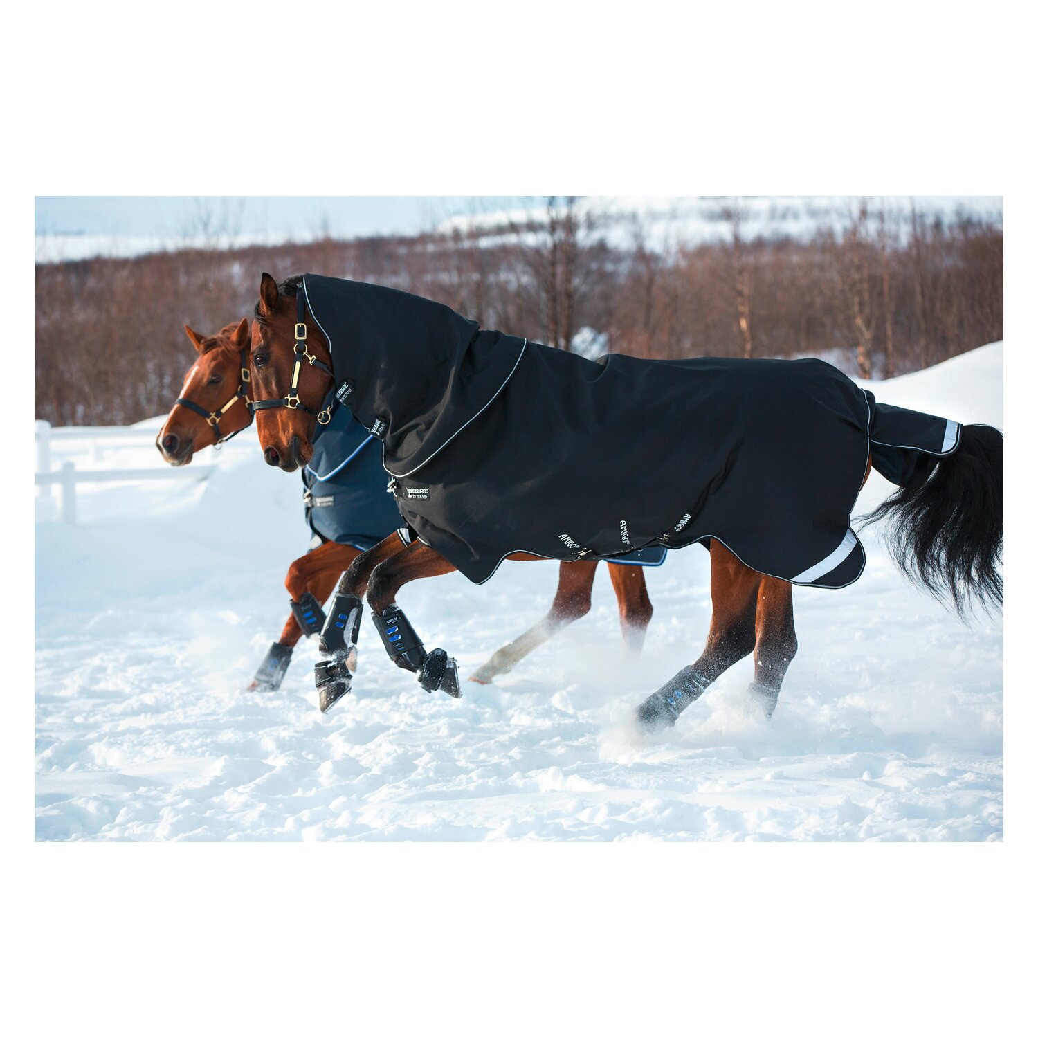 HORSEWARE Outdoor- und Weidedecke AMIGO Super Bravo Plus - black