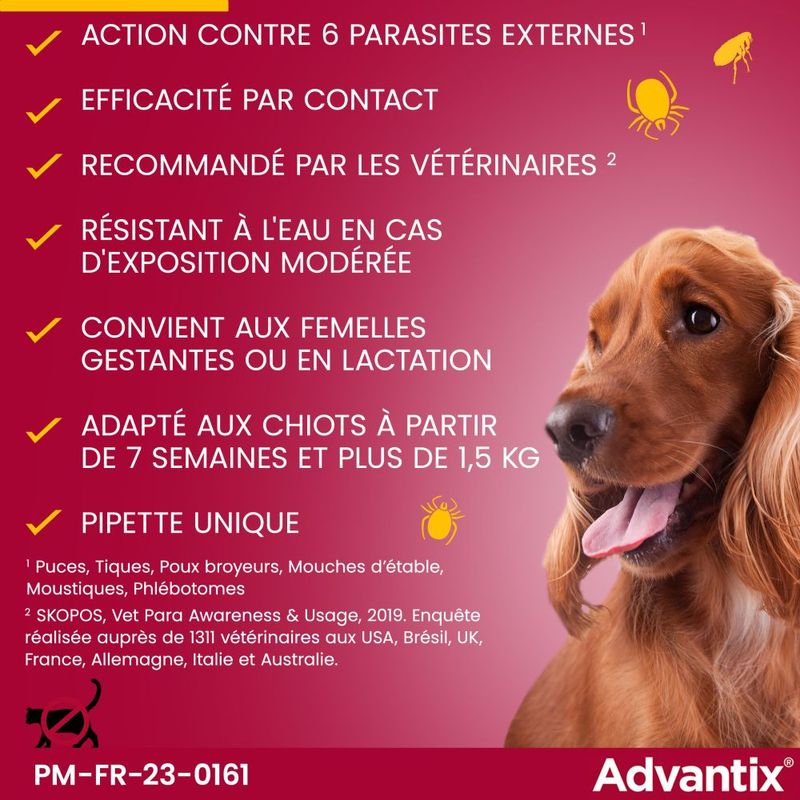Advantix très petit chien jusqu'à 4 kg
