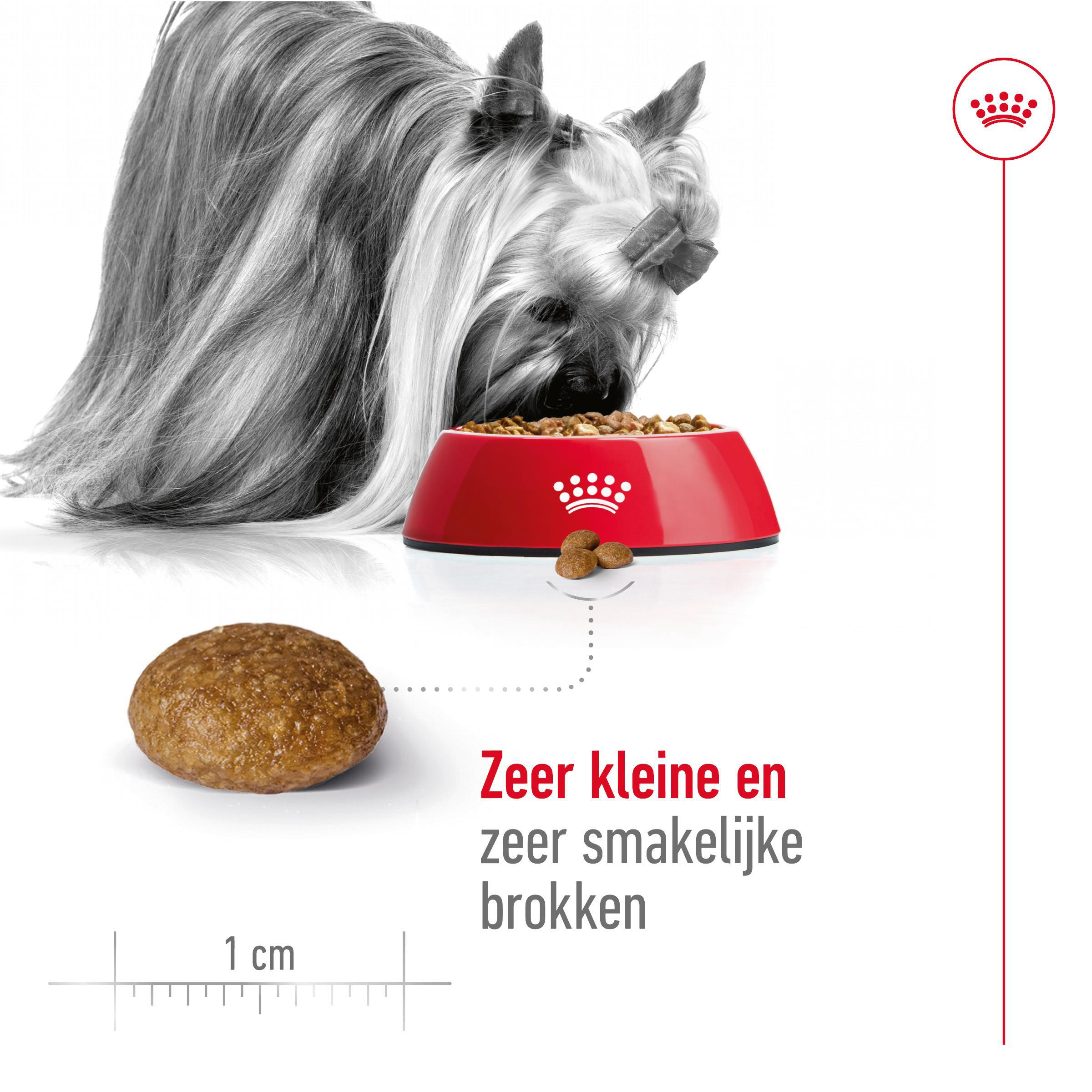 Royal Canin X-Small Adult 8+ - Hondenvoer