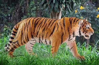 Schleich 14729 Tiger