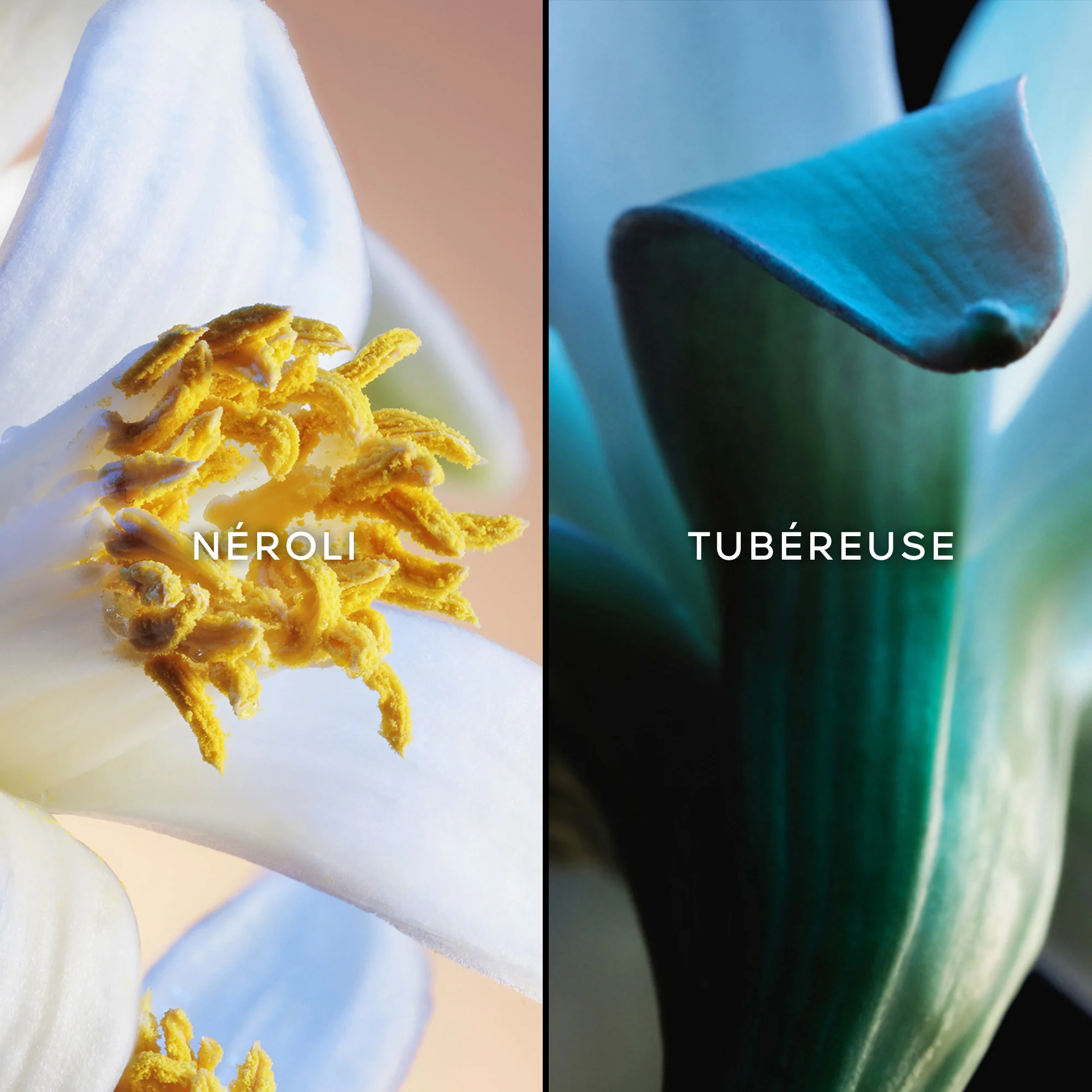Jardins de Bagatelle Eau de Parfum |