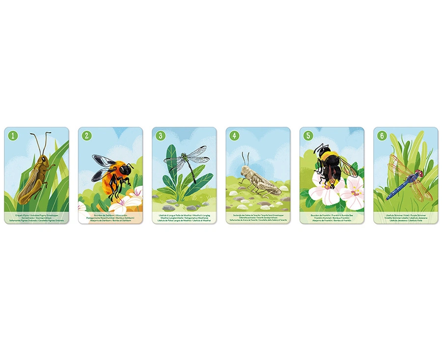 Janod-WWF® Kombinationsspiel TIERGATTUNGEN 42-teilig