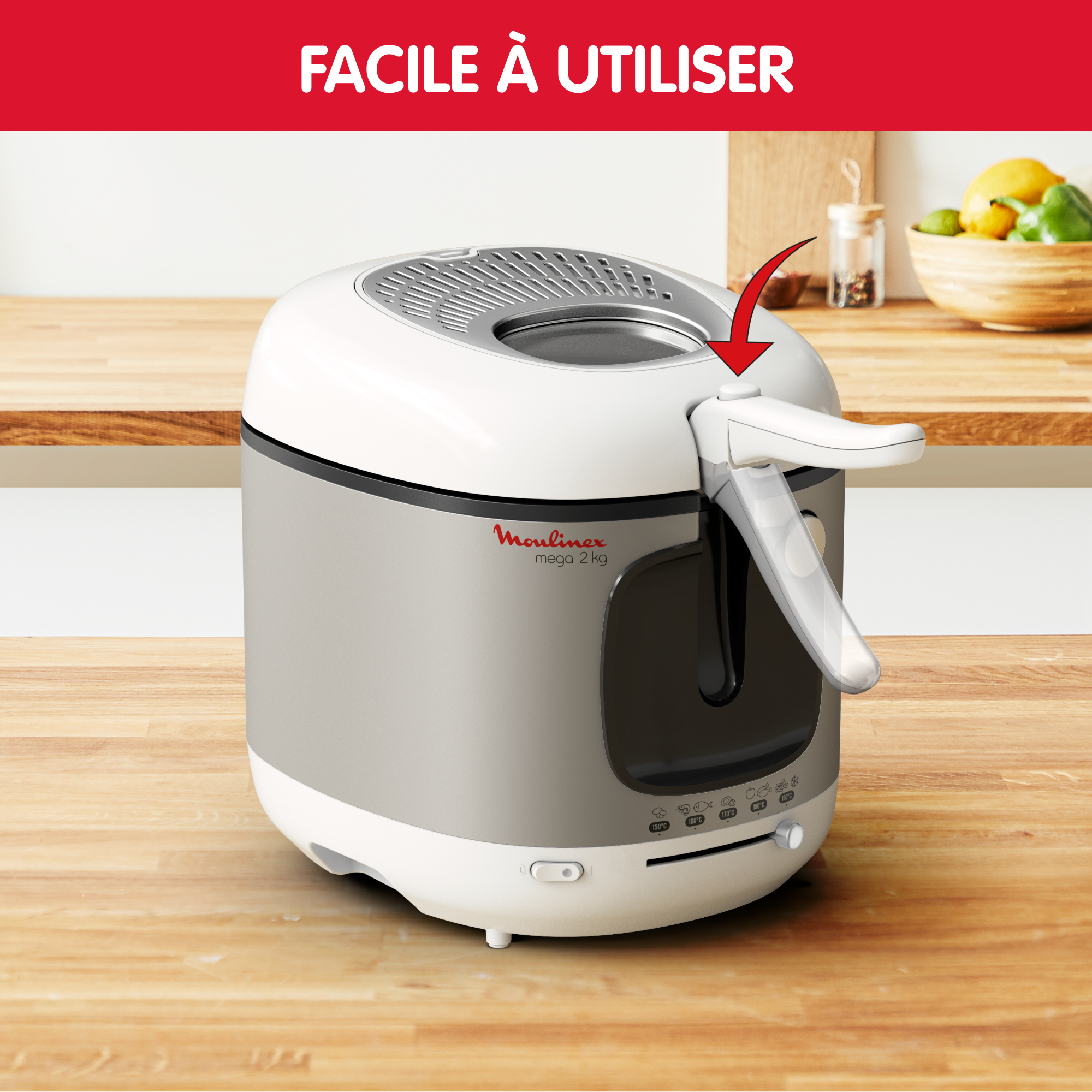 Friteuse électrique Mega XXL 2Kg