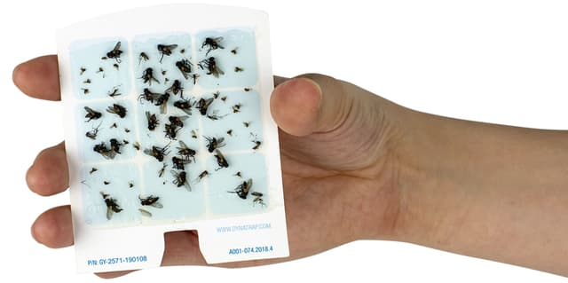 DynaTrap DOT frugtfluefælde genopfyldning 23005-0612C (6 stk)