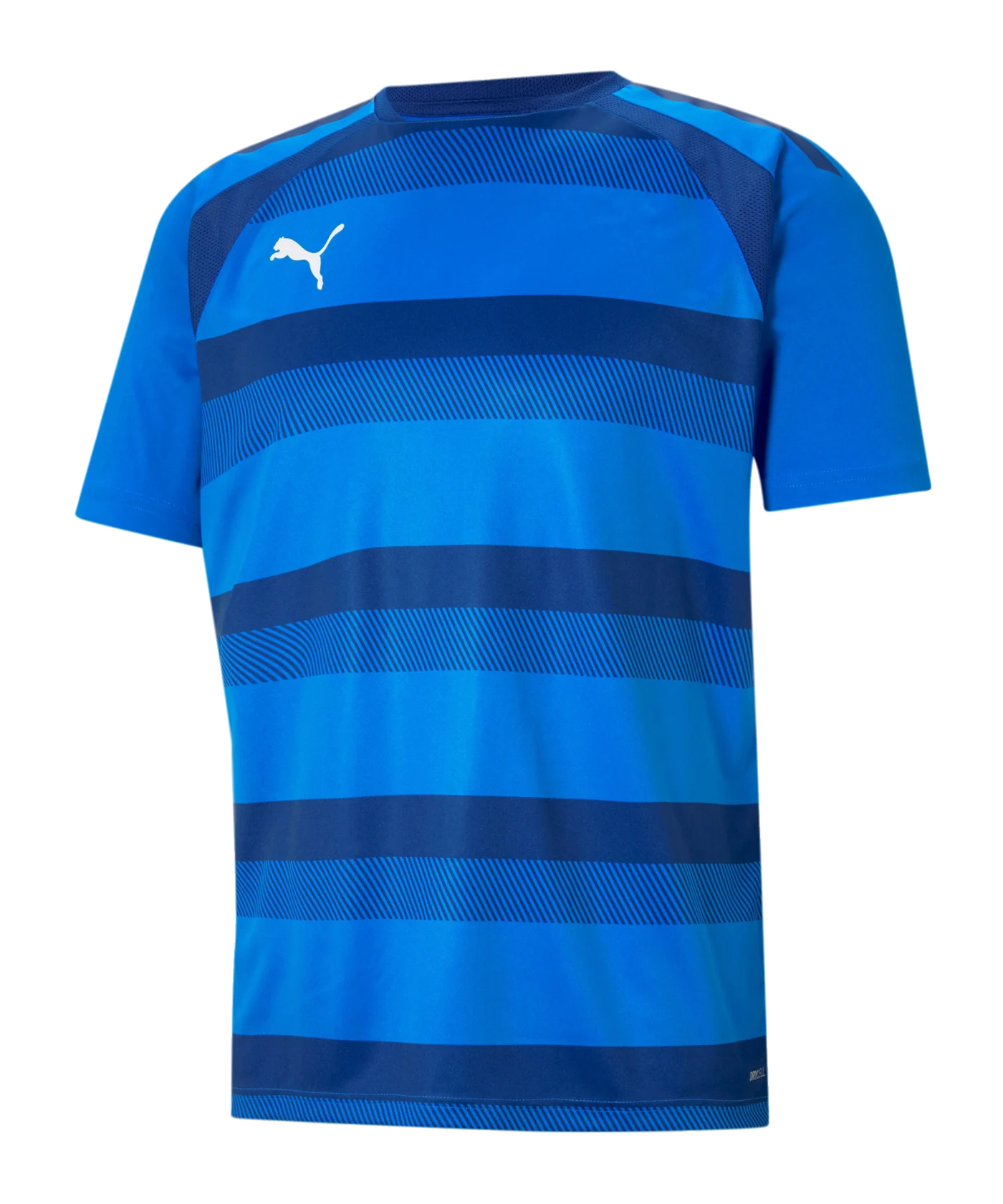 PUMA teamVISION Trikot Blau F02