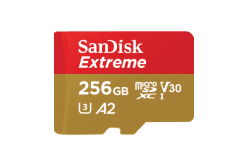 SanDisk Extreme 256GB microSDXC(Memory card for GoPro cameras)
