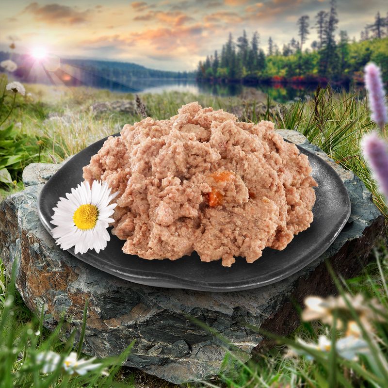 Purizon Single Meat 6 x 200 g