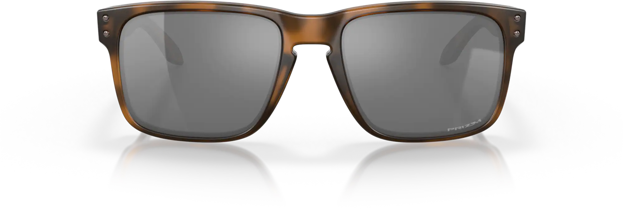 Holbrook  F455/Matte Brown Tortoise w/Prizm Black