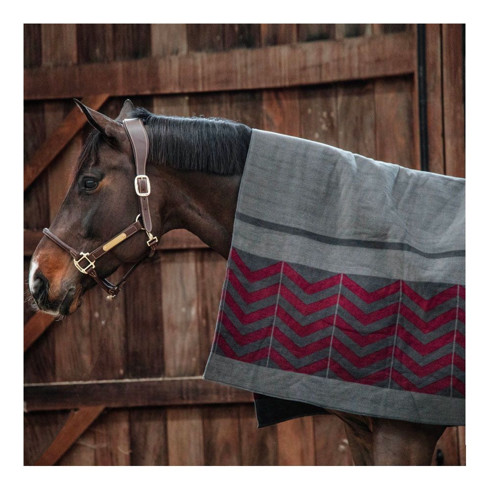 Kentucky HEAVY FLEECE 210X200 cm - Chemise séchante grey/bordeaux