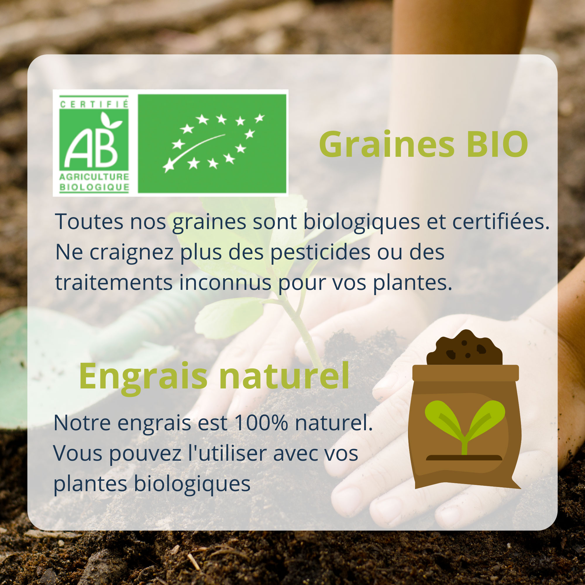 Cultivea diy bombes de graines semis de fleurs à planter pour abeilles