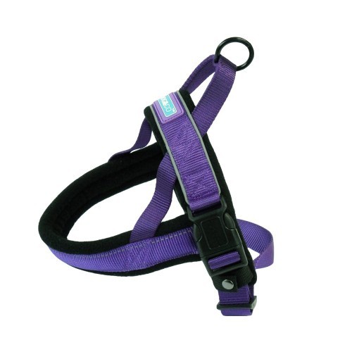 Coleira acolchoada estilo nórdico para cães, roxa
