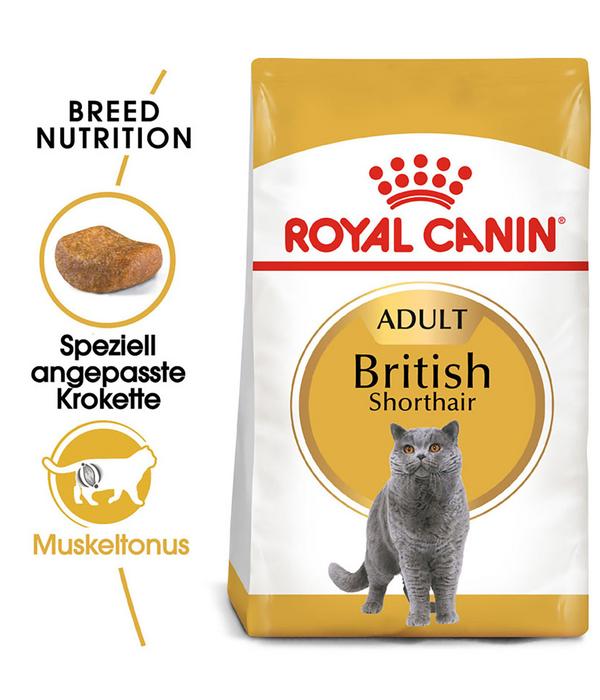 ROYAL CANIN® Trockenfutter für Katzen