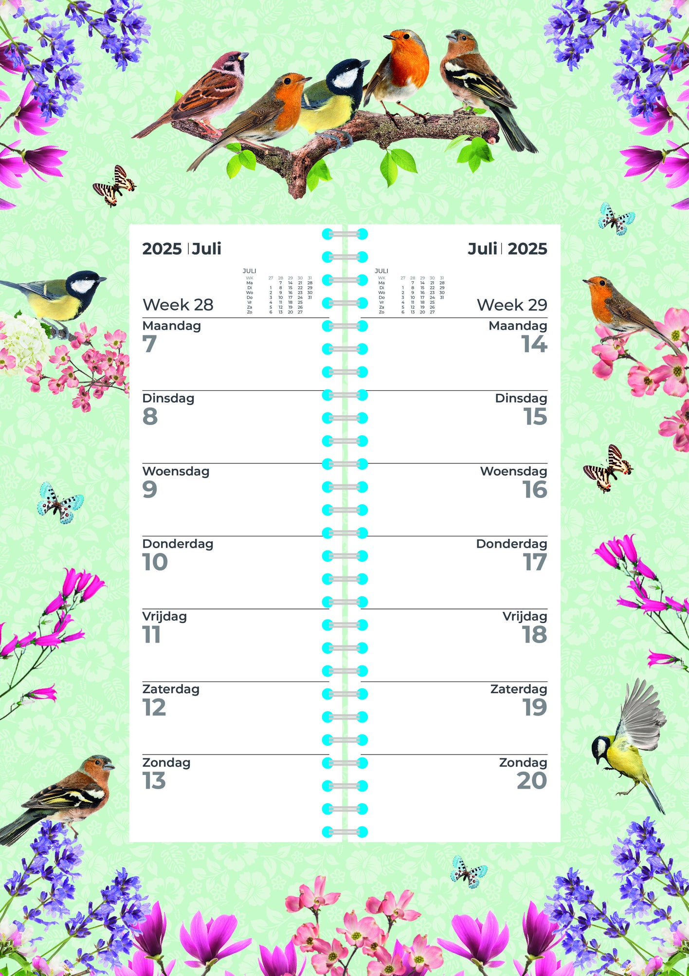 Plenty Gifts omlegkalender vogels 24 x 34 x 0,5 cm