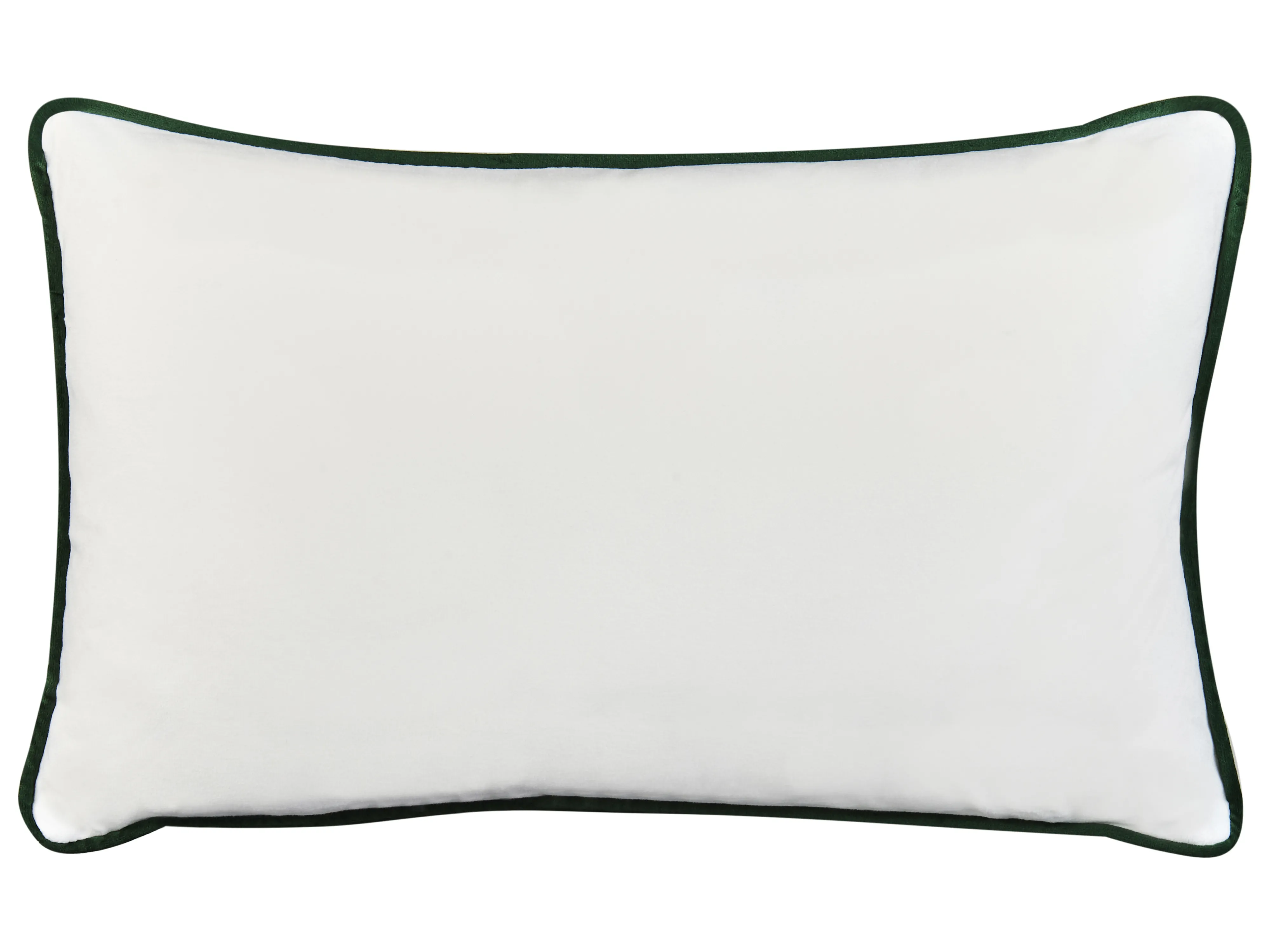 Set van 2 tuinkussens SWAY geometrisch patroon 30 x 50 cm Meerkleurig