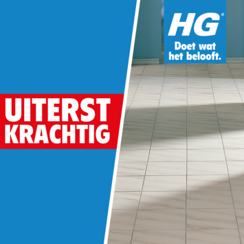 HG voegenreiniger 500 ml