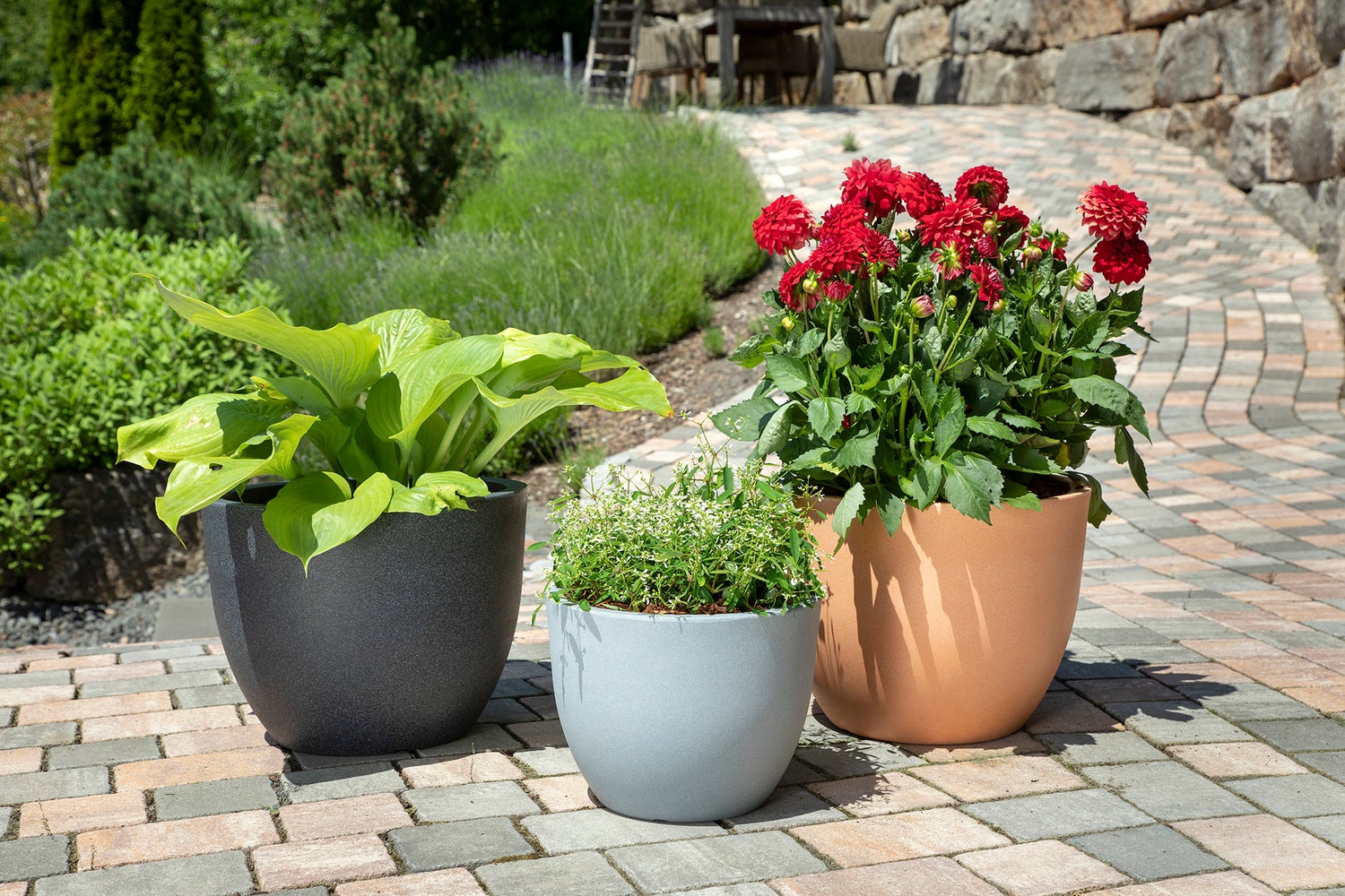 Scheurich Firenze 60, plantenbak/bloempot, rond, van kunststof, kleur: terracotta, diameter 59,5 cm, hoogte 45,8 cm, inhoud 85,5 l.