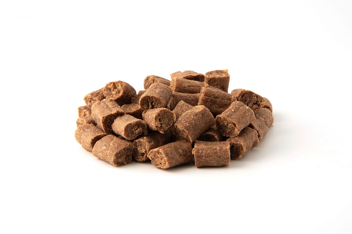 Specific Organic Treats CT-BIO Hond 100 gram | 12143