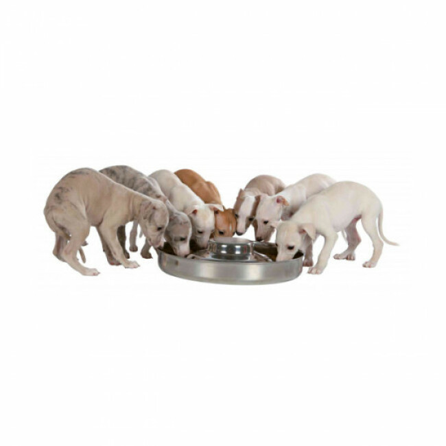 Gamelle en acier inoxydable pour chiot Trixie