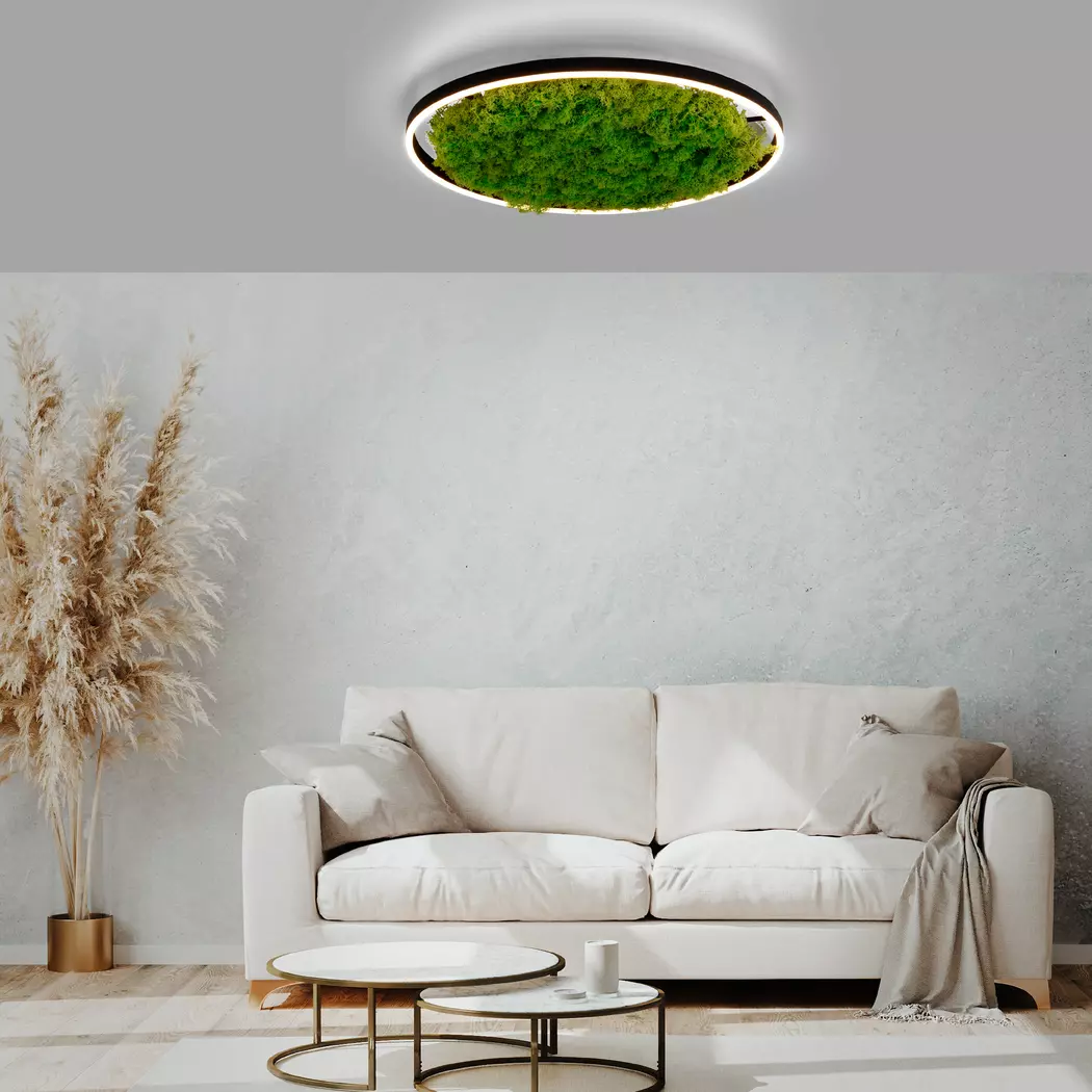 LED-Deckenleuchte Green Ritu