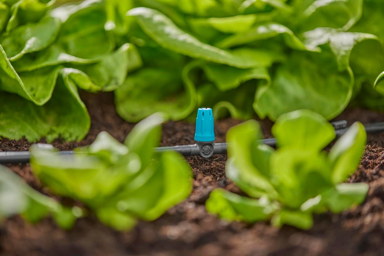 Gardena Micro Drip systeem T-sproeier kleine oppervlakte