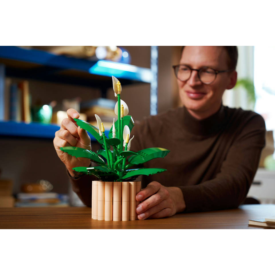 LEGO Botanicals lepelplant 11504