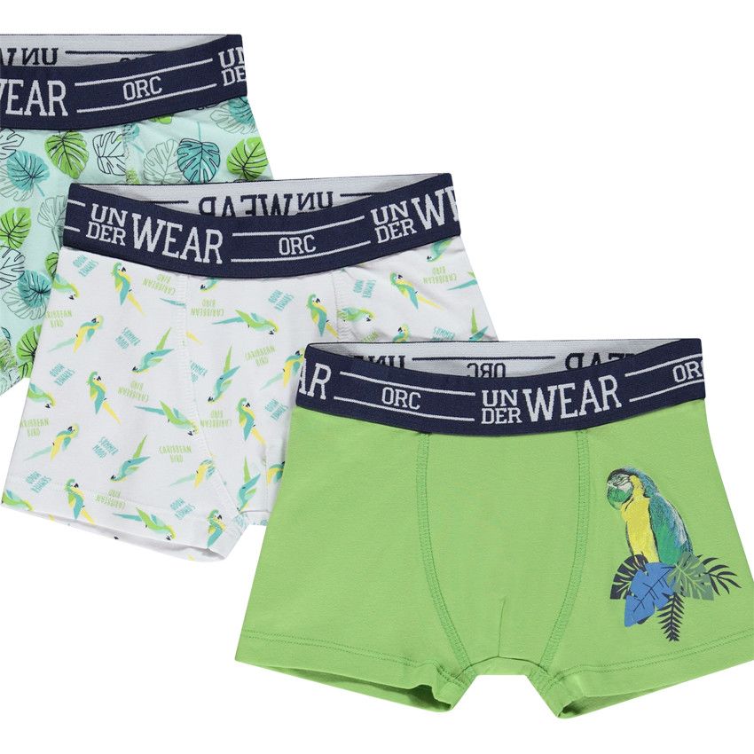 Lot de 5 boxers motifs Tropical Bird pour garçon - Vert
