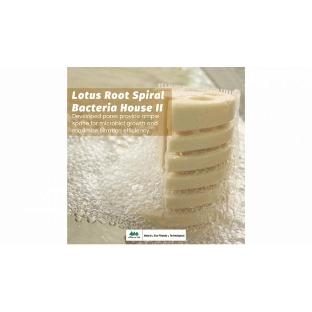 Mountain tree bacterial house lotus root 2 (xl) 80mm x 250mm carton de 15 pièces