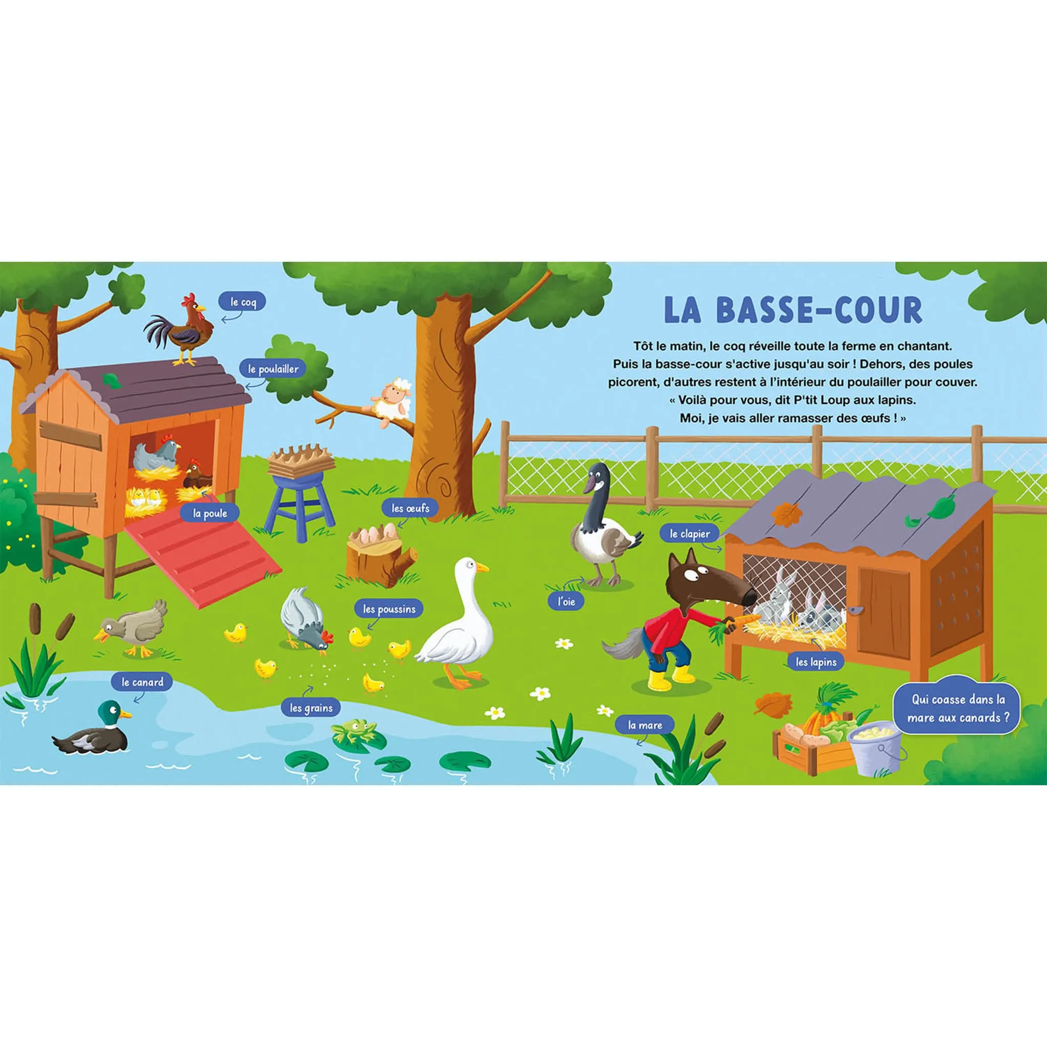 Auzou Mon Doc P'Tit Loup - La Ferme
