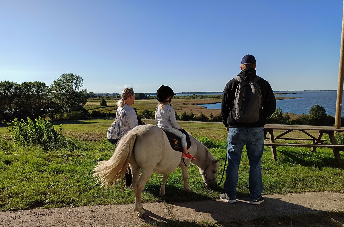 Pony Spaziergang für 2 Kuhlen-Wendorf