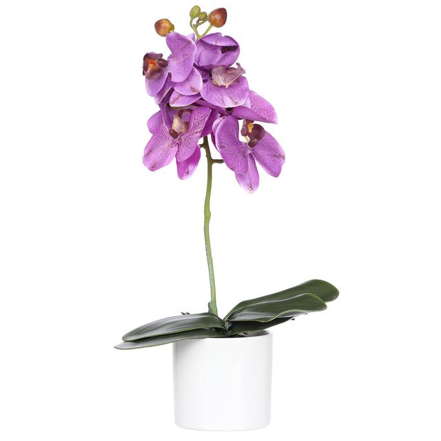 Orchidee Phalaenopsis im weißen Keramiktopf, 40 cm