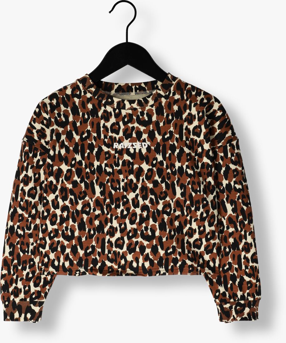 RAIZZED bruine raizzed sweater hanna