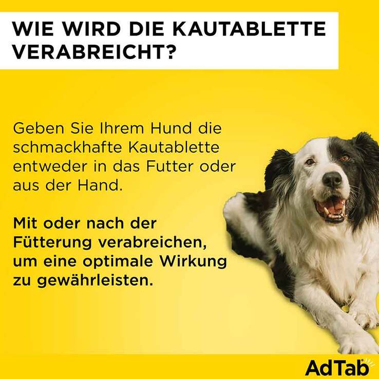 AdTab Kautabletten für kleine Hunde 112 mg 2,5 bis 5,5 kg, 3 St