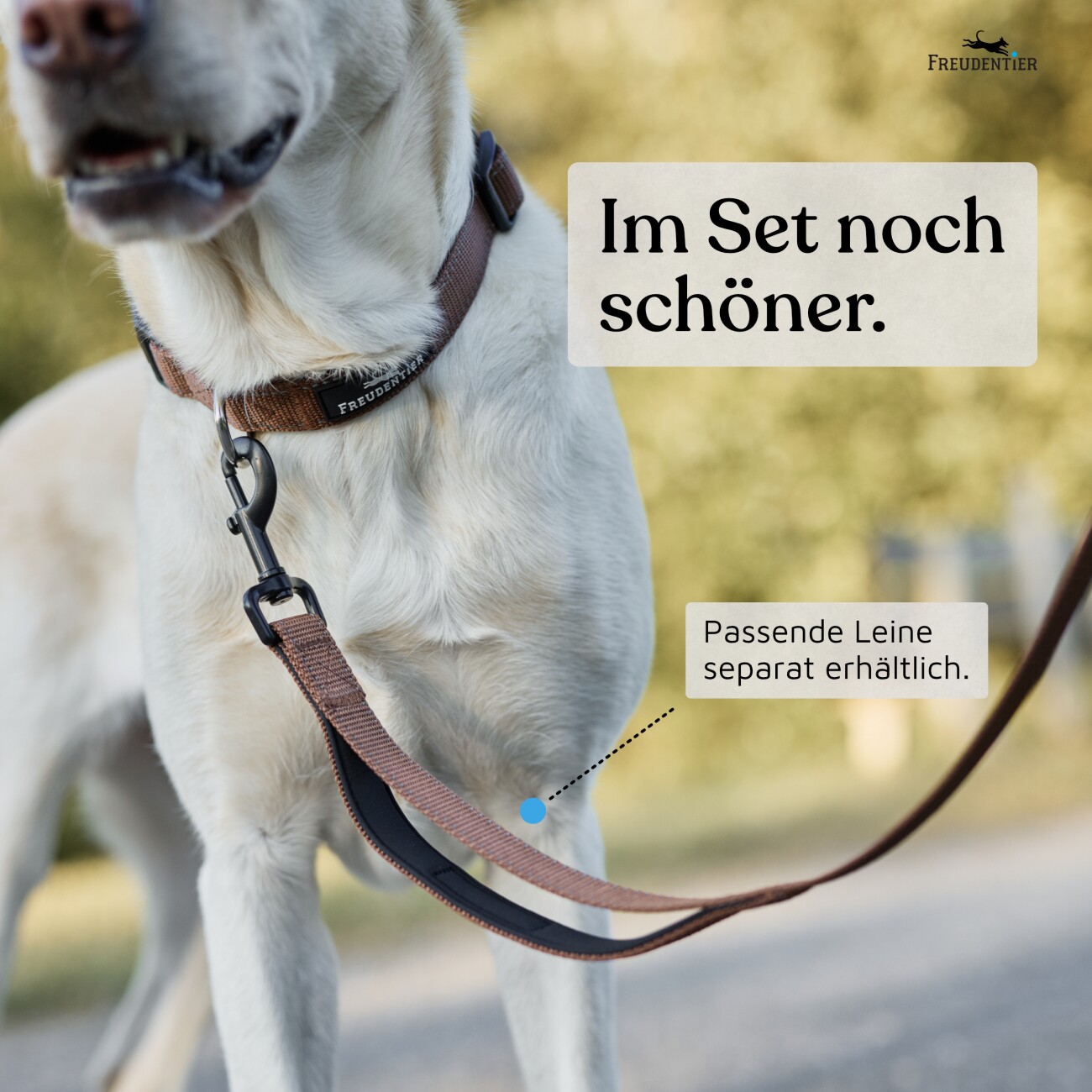 Freudentier Hundehalsband, leicht & komfortabel, Clyde Kollektion braun XS