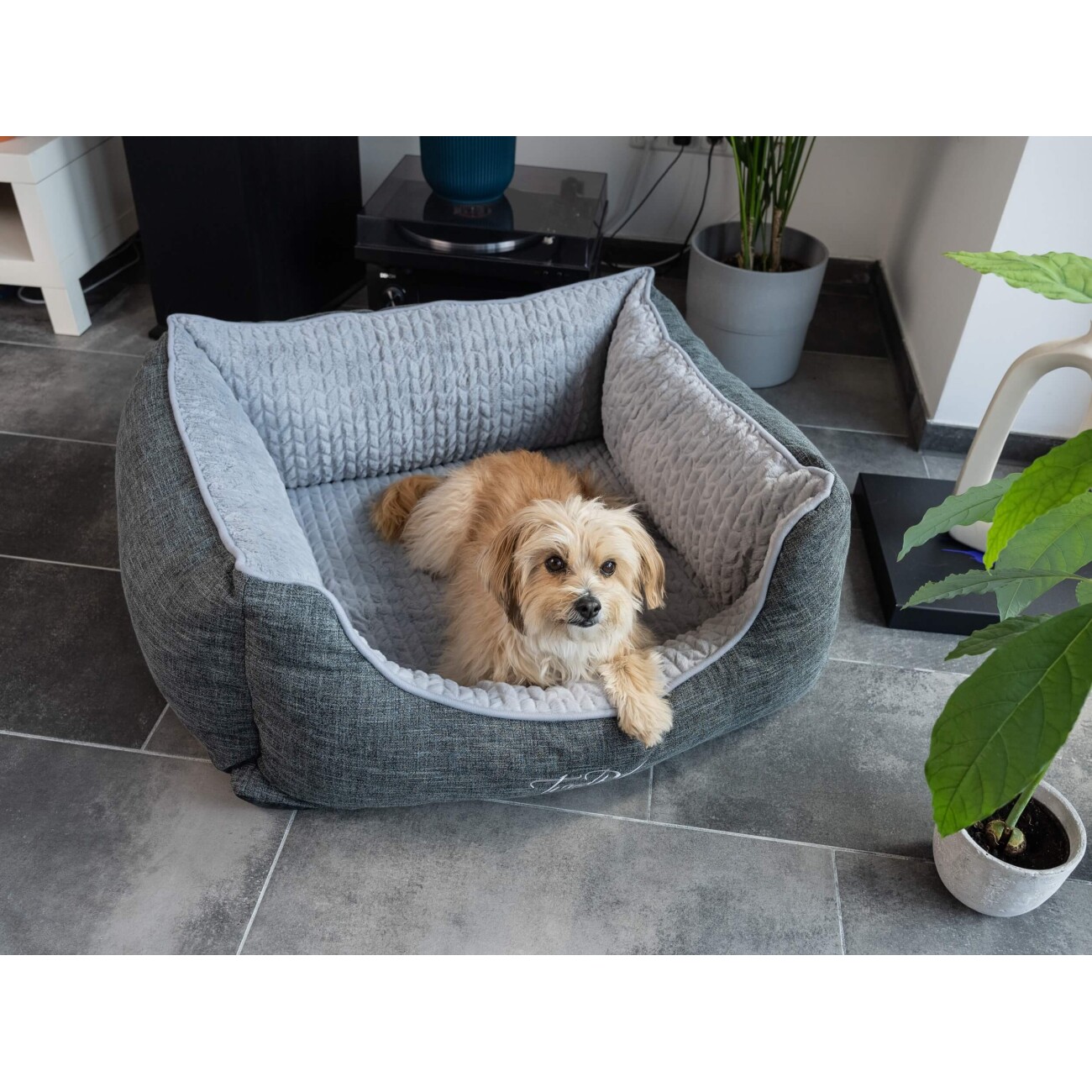 TrendPet VitaBed Classic orthopädisches Hundebett grau S