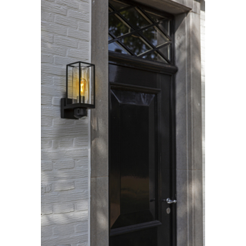 LUTEC slimme LED buitenlamp Flair met camera en bewegingssensor