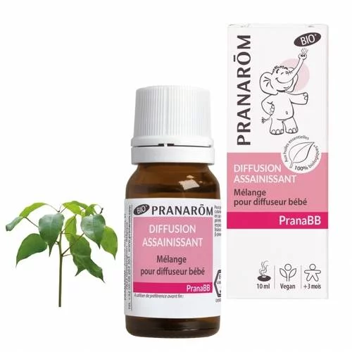 Diffusion Assainissant - 10 ml