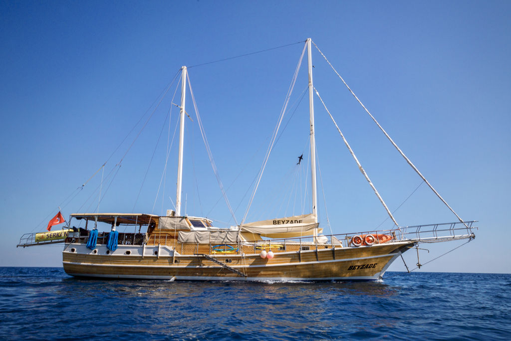 Blue Cruise & Gold City Zie beschrijving (optie 2)
