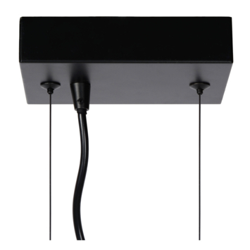 Lucide hanglamp Fabian zwart 20x25 cm (lxb)