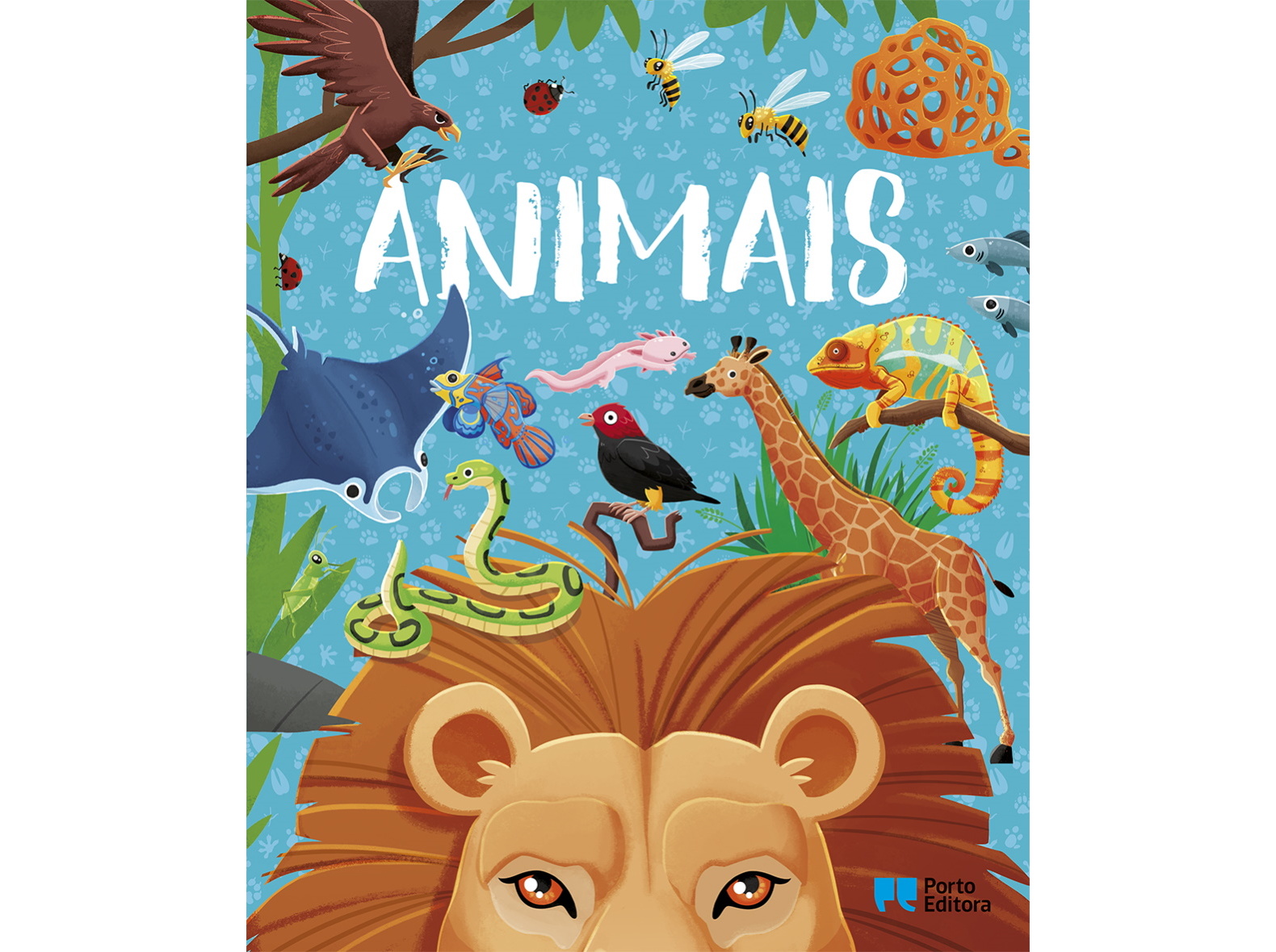 LIVRO ANIMAIS ENCICLOPÉDIA DOS CURIOSOS