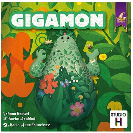 Studio H Gigamon
