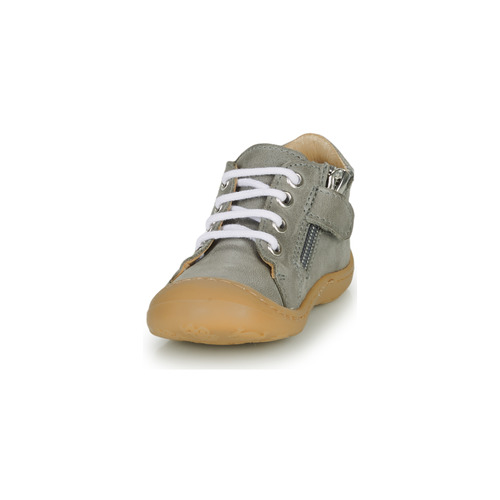 GBB - FREDDO - Gris