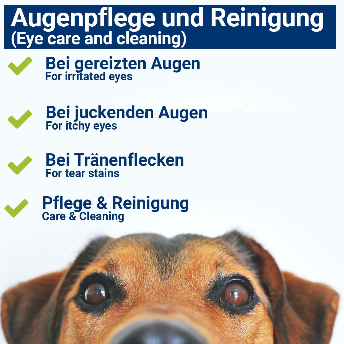 BMUT Augentropfen für Hunde & Katzen mit kolloidalem Silber